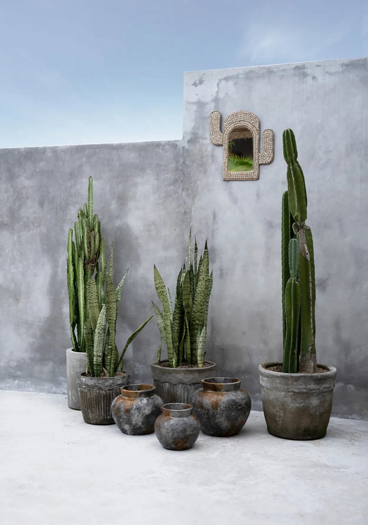 Miroir Cactus coquillage – Blanc
