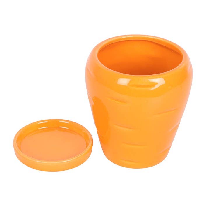 Pot de plante Carotte avec boules de graines de persil
