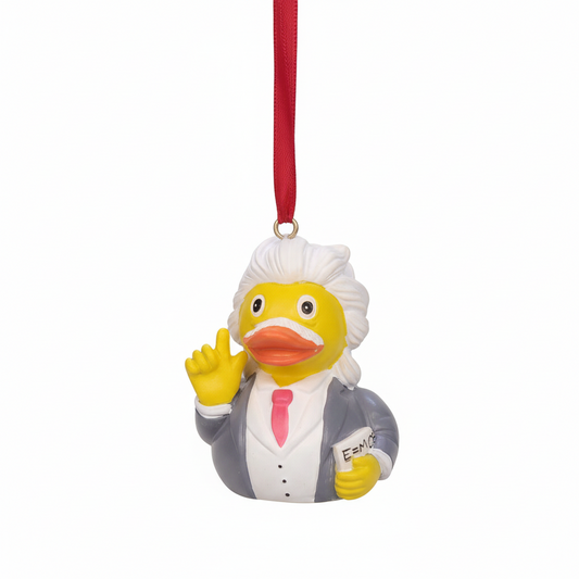 Décoration à suspendre Canard Albert Einstein – vue produit 1