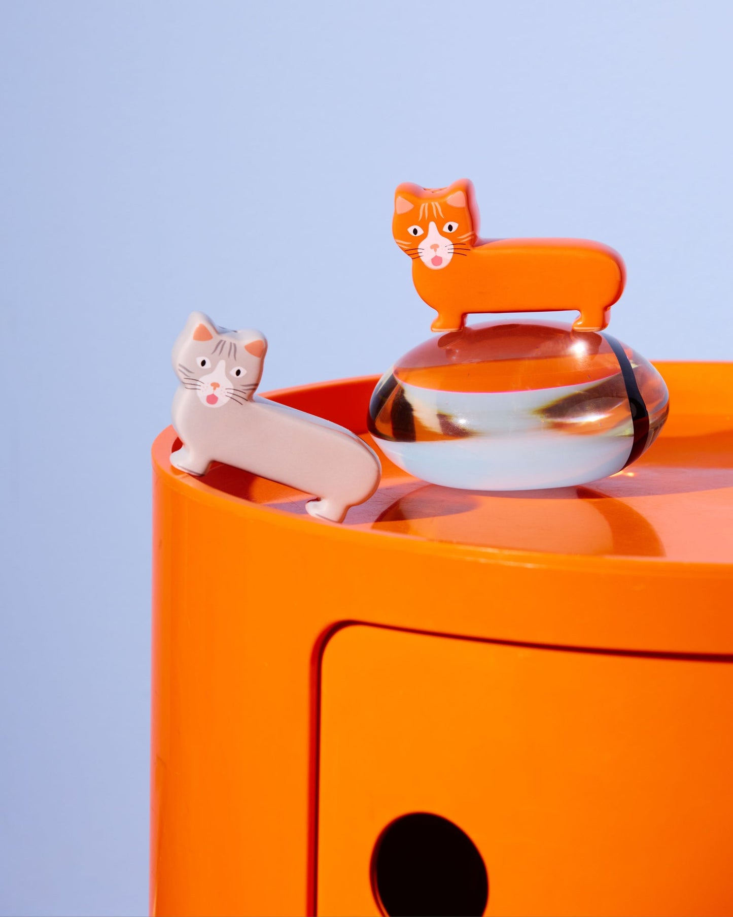 Sel et poivre Chat (Fluid Market x Thomas Gravereau)