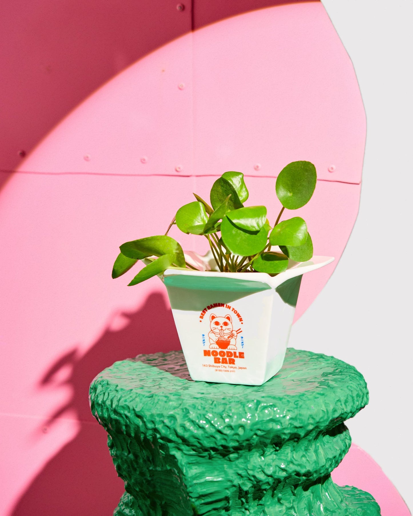 Cache pot / Vase Ramen