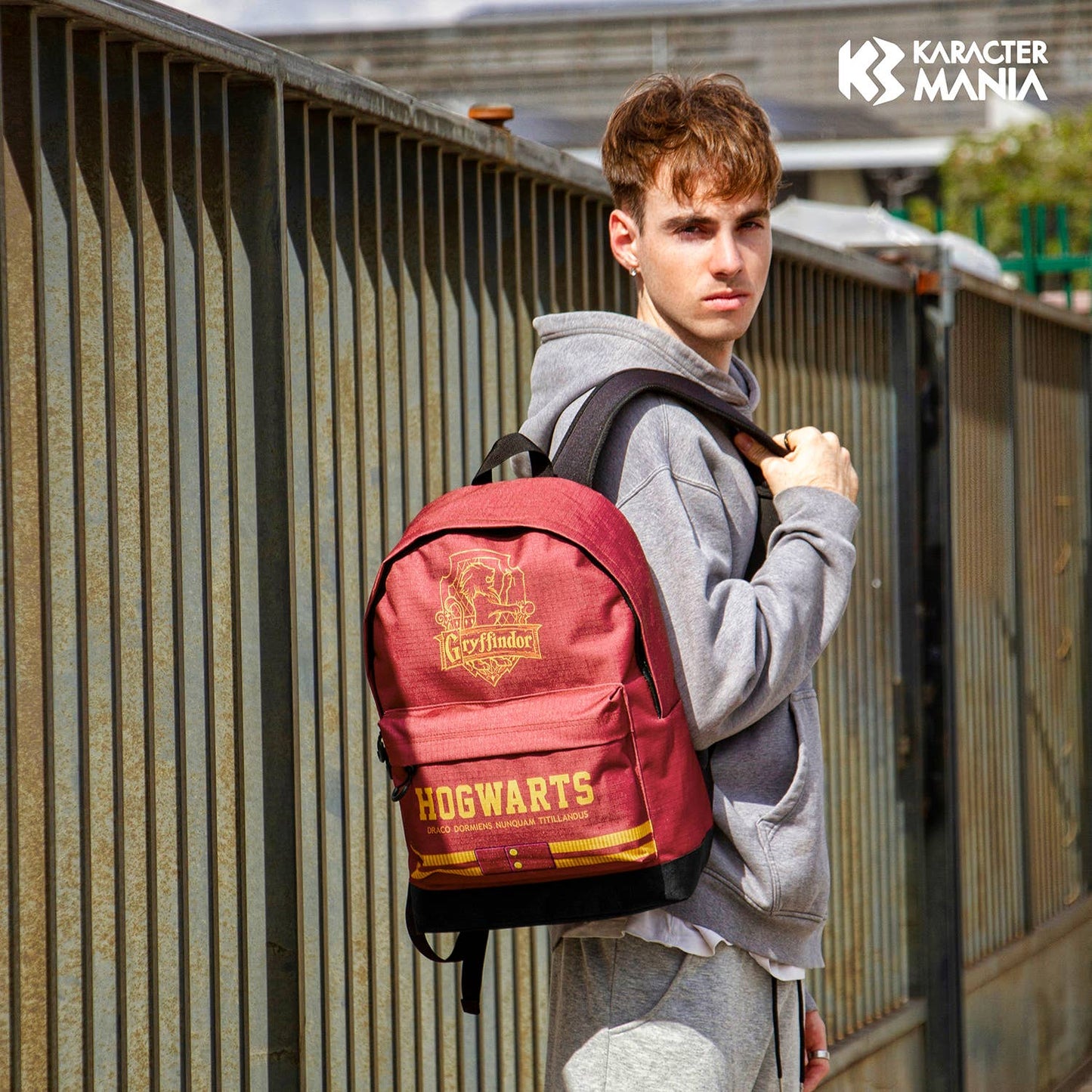 Harry Potter Gryffindor-Sac à dos HS FAN