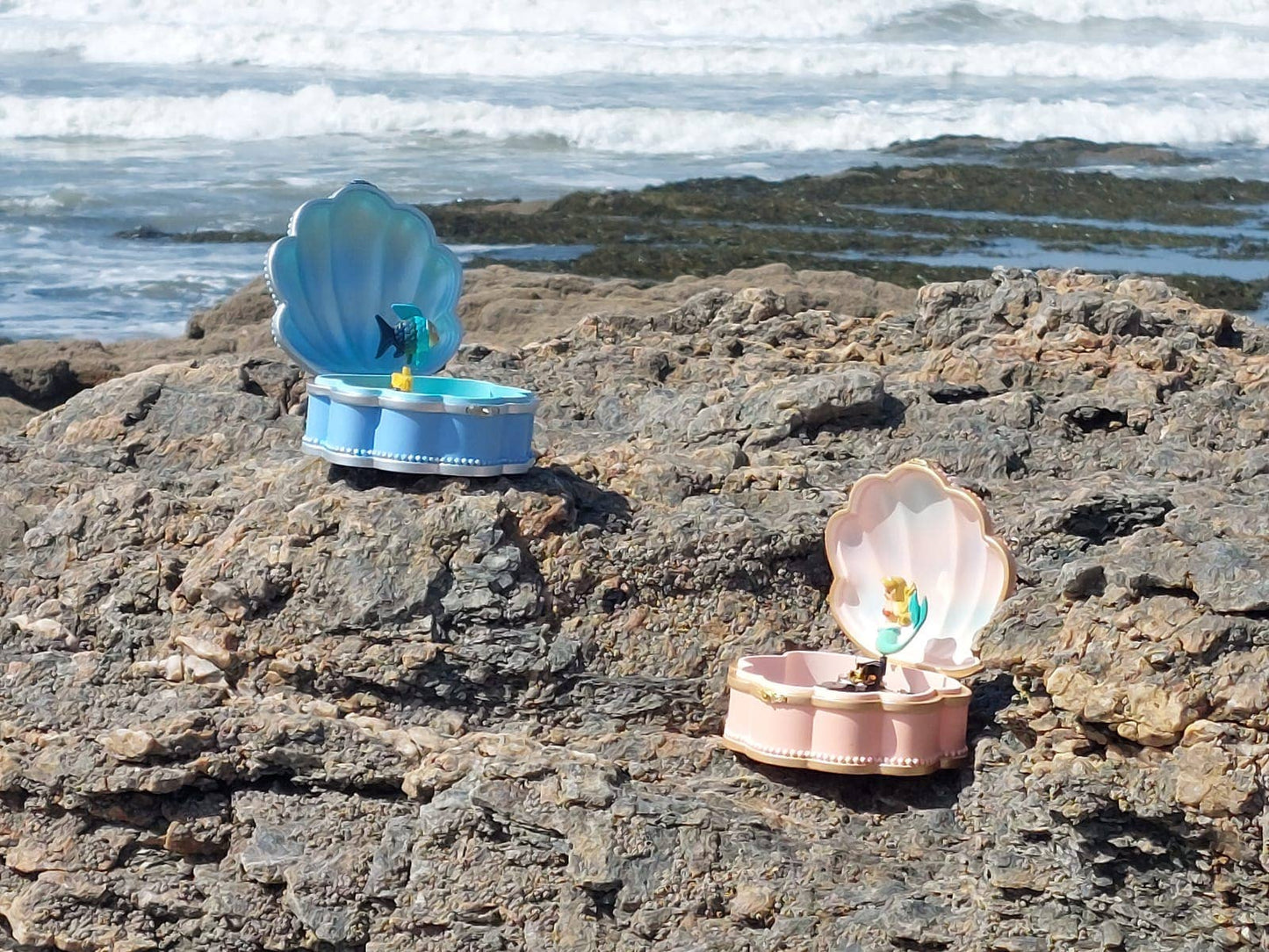 Boite à Bijoux Collector Sirène dans Coquillage