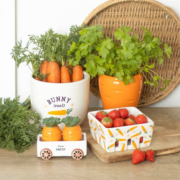 Pot de plante Carotte avec boules de graines de persil